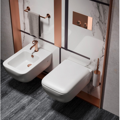 GESSI Venti20 Viega Клавіша для унітазу 54653