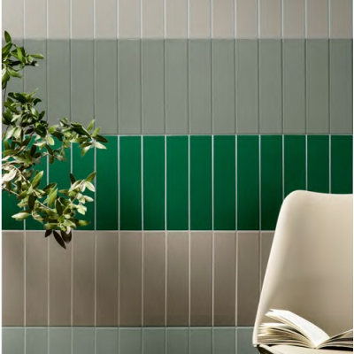 Ce.Si ceramica I Classici 6X25 плитка для стін та підлоги