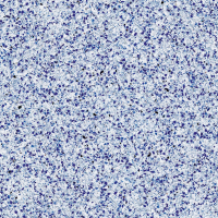 Trend Origina Terrazzo плитка 481 BLUE DREAM