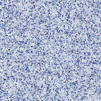 Trend Origina Terrazzo плитка 481 BLUE DREAM