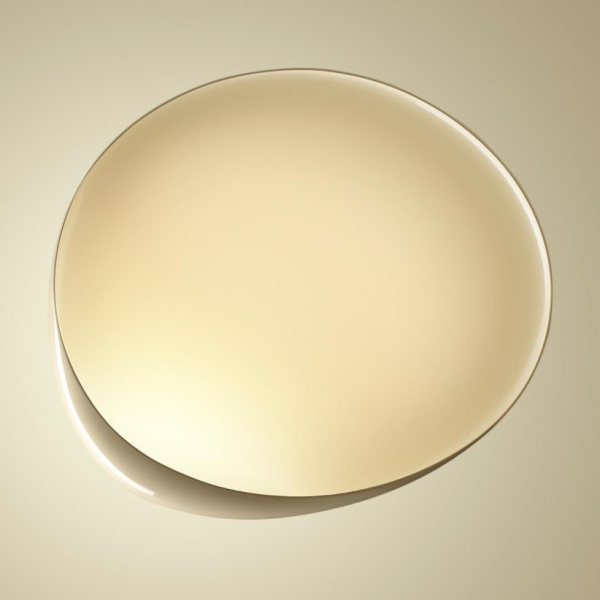Настінний світильник Foscarini - Lake