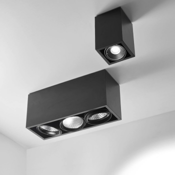 Точковий світильник LEDs C4 - Multidir Evo