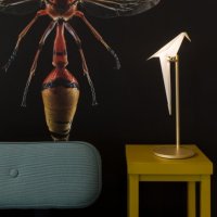 Настільна лампа Moooi - Perch