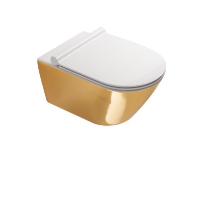 CATALANO CLASSY Gold&Silver Унітаз підвісний з кришкою безободковий білий/срібло