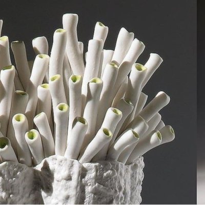 Fos Ceramiche Anthozoa ваза CSP-12W