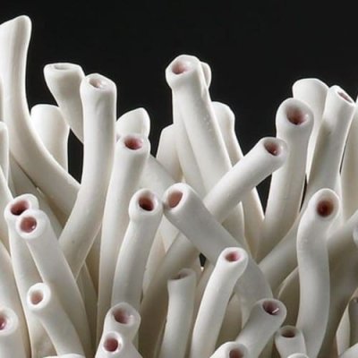 Fos Ceramiche Anthozoa ваза CSP-12W