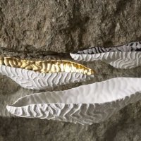 Fos Ceramiche Fossilia ваза FG-12W