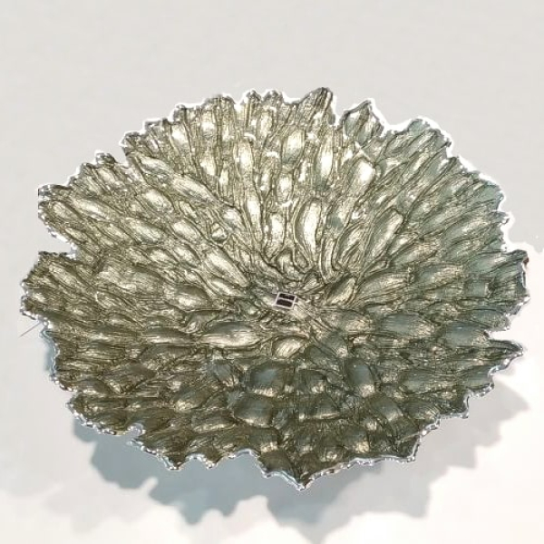 Argenesi Moss green страва