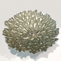 Argenesi Moss green страва