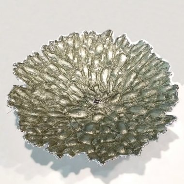 Argenesi Moss green страва