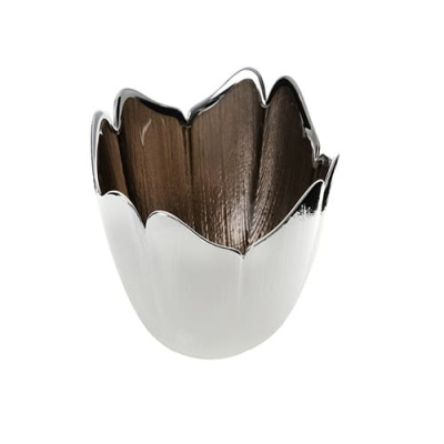 Argenesi Tulipano страва