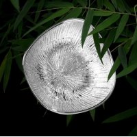 Argenesi Zen silver блюдо 30 см
