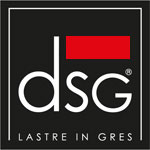 DSG
